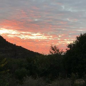 Meet your Posher, Maurine